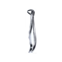  Extarcting Forceps 